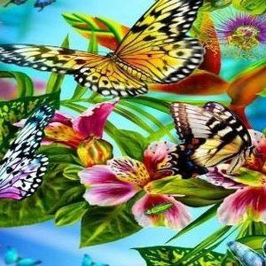 Meet your Posher, Cheryl